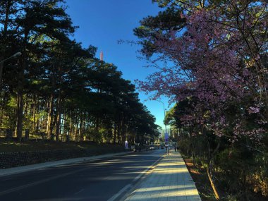 Da Lat dağ manzarası