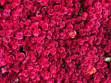  Da Lat dağ kasabasının manzarası