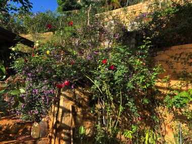  Da Lat dağ kasabasının manzarası