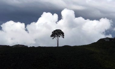 Lam Dong Da Lat platosunda bulutlu sezon başlıyor.