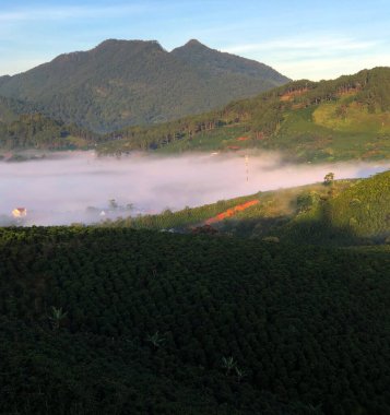 Lam Dong Da Lat platosunda bulutlu sezon başlıyor.