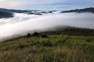 Lam Dong Da Lat platosunda bulutlu sezon başlıyor.