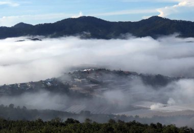 Lam Dong Da Lat platosunda bulutlu sezon başlıyor.