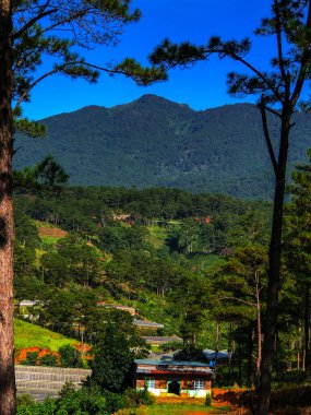 Da Lat dağ manzarası