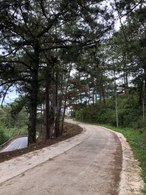 Da Lat dağ manzarası