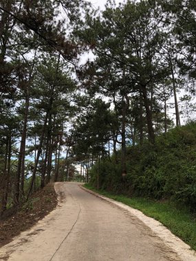 Da Lat dağ manzarası