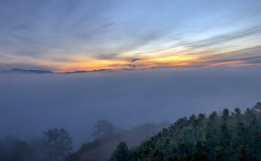 Bulutlu mevsim Da Lat Ormanı platosuna geri döndü.