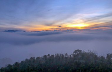 Bulutlu mevsim Da Lat Ormanı platosuna geri döndü.