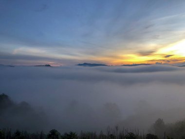 Bulutlu mevsim Da Lat Ormanı platosuna geri döndü.