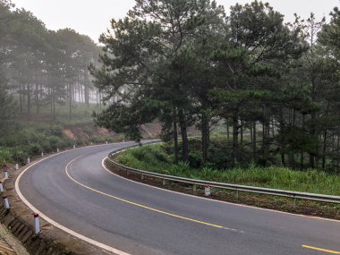 Sabahın erken saatlerinde çam ormanlarında ve yollarda çiy taneleri