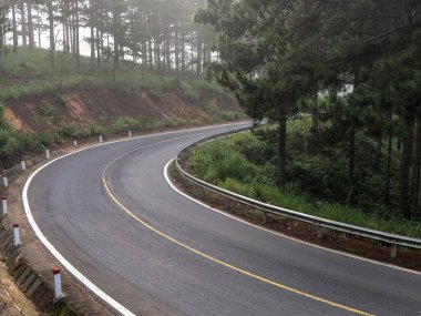 Sabahın erken saatlerinde çam ormanlarında ve yollarda çiy taneleri