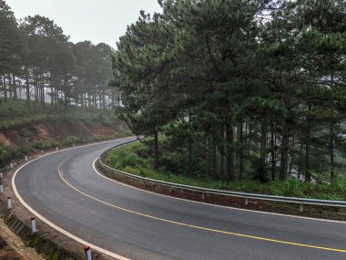 Sabahın erken saatlerinde çam ormanlarında ve yollarda çiy taneleri