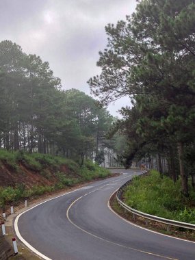 Sabahın erken saatlerinde çam ormanlarında ve yollarda çiy taneleri