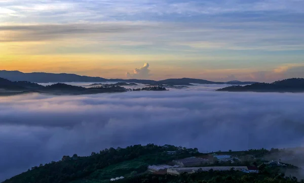 Die Trübe Jahreszeit Kehrt Auf Dem Lam Dong Lat Plateau — Stockfoto