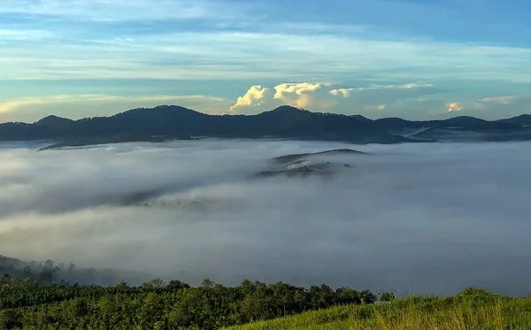 Die Trübe Jahreszeit Kehrt Auf Dem Lam Dong Lat Plateau — Stockfoto