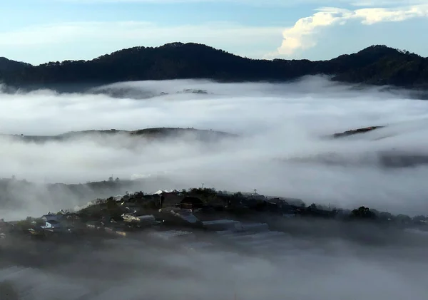 Die Trübe Jahreszeit Kehrt Auf Dem Lam Dong Lat Plateau — Stockfoto