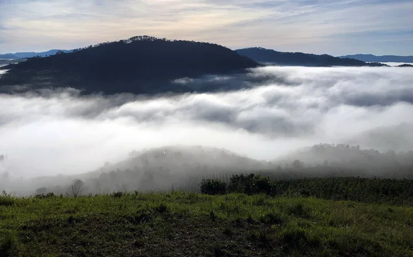 Die Trübe Jahreszeit Kehrt Auf Dem Lam Dong Lat Plateau — Stockfoto