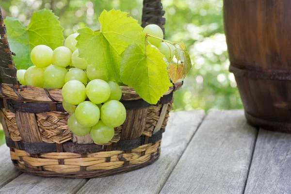 Rustic Basket Fresh Green Grapes Outdoors Weathered Wooden Surface — Stock Photo, Image