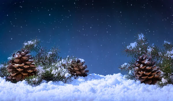 Cena Noturna Inverno Férias Com Cones Pinheiro Galhos Árvore Sempre — Fotografia de Stock