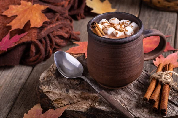 Xícara de chocolate quente com marshmallows e canela — Fotografia de Stock