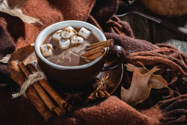 Xícara de chocolate quente com marshmallows e canela — Fotografia de Stock