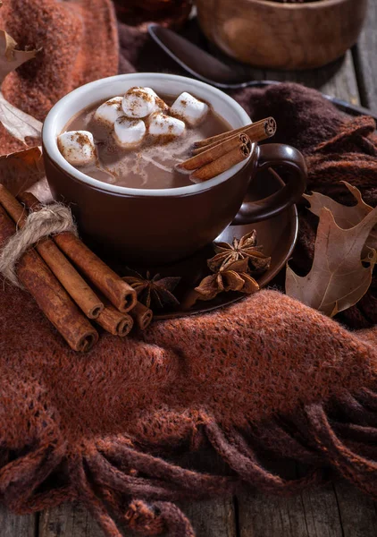 Kopp varm choklad med marshmallows och kanel — Stockfoto