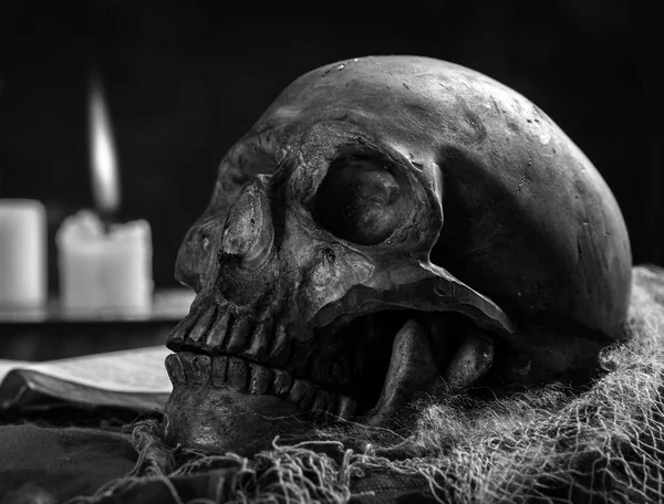 Gros plan noir et blanc du crâne humain — Photo