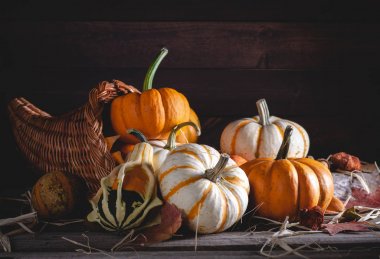 Mini Kabaklar ile Cornucopia