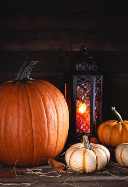 Sonbahar Kabakları ve Parlayan Fener