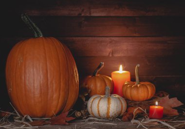 Rustik ahşap arka plan üzerinde kabaklar