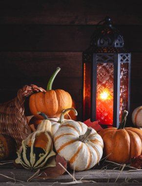 Kabak ve Fener Çeşitleri ile Cornucopia