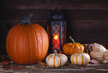 Sonbahar Kabakları ve Parlayan Fener