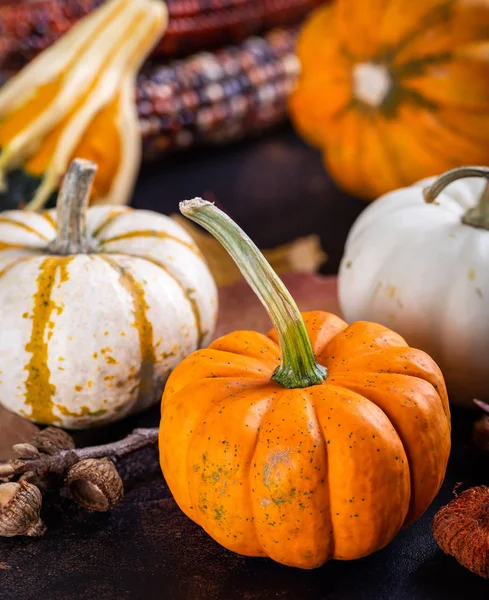 Asortyment mini Pumpkins, squash i kukurydza — Zdjęcie stockowe