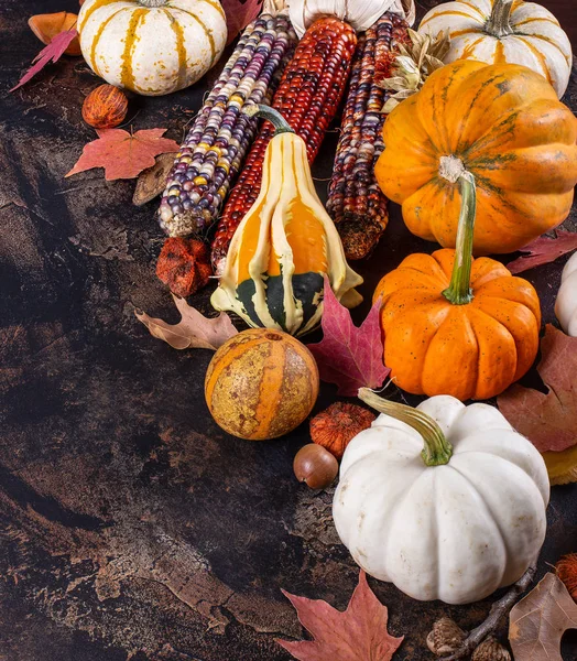 Jesienna dekoracja dyni, gourd i squash — Zdjęcie stockowe