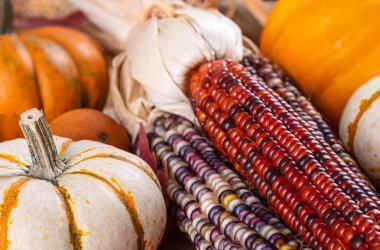 Hindistan Mısırı ve Mini Balkabağı