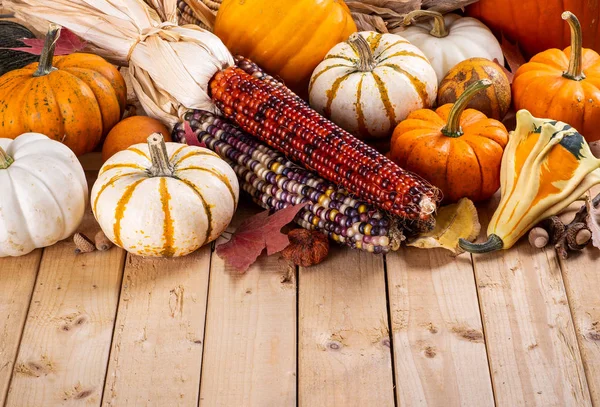 Sortiment aus Herbst-Kürbissen und indischem Mais — Stockfoto