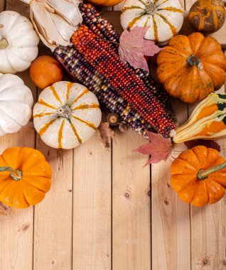 Hint Mısır ve Mini Kabaklar