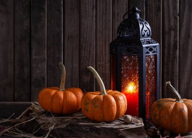 Mini Balkabakları ve Parlayan Fener