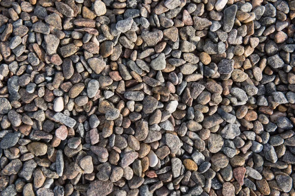 deniz taşlarının arkaplanı.