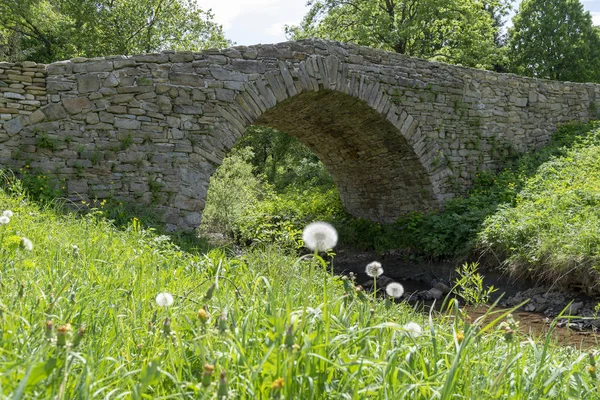 Olchowiec, Beskid Niski, Polonya eski taş köprü