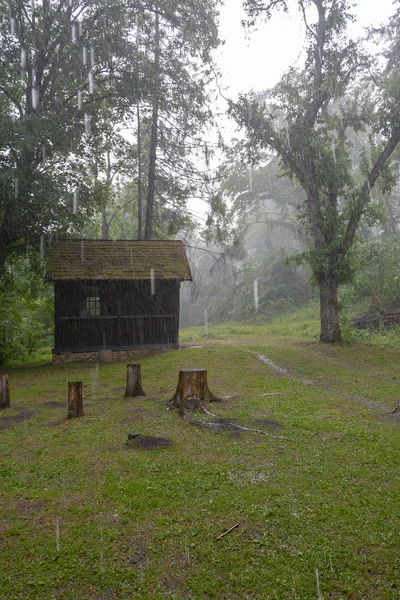 Floresta Vale Szalajka Szilvasvarad Hungria Dia Chuvoso — Fotografia de Stock