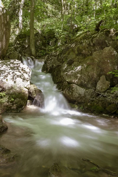 Cachoeira Córrego Floresta Vale Zadiel Eslováquia — Fotografia de Stock