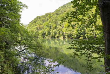Miskolc, Macaristan yakınındaki Lillafured yeşil Hamori göl. Bahar manzara kayın dağlarda