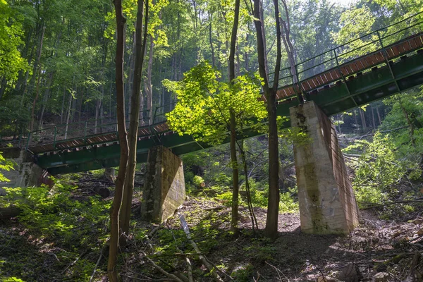 Narrow-gauge railway bridge in forest in Lillafured near Miskolc, Hungary.