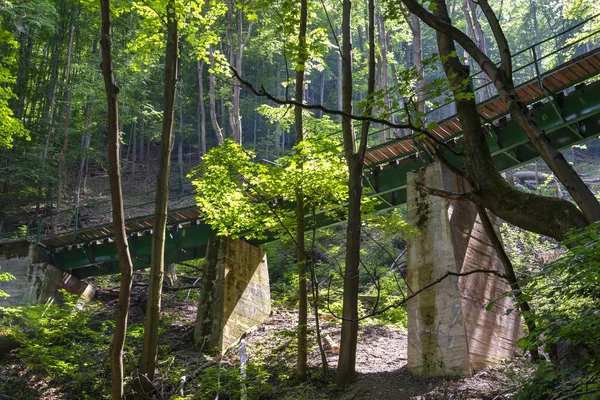 Puente Ferroviario Vía Estrecha Bosque Lillafured Cerca Miskolc Hungría — Foto de Stock