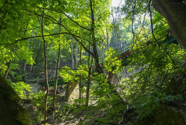 Narrow-gauge railway bridge in forest in Lillafured near Miskolc, Hungary.