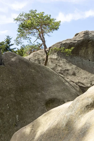 Kamień skalny Przadki koło Krośnie w Polsce — Zdjęcie stockowe