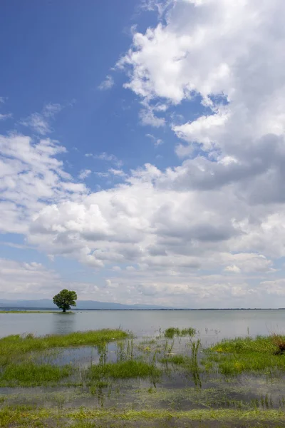 Zemplinska Sirava lake in Slovakia — 스톡 사진