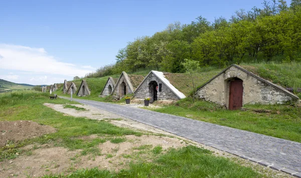 Tokaj şarap mahzenleri, Hercegkut, Macaristan — Stok fotoğraf