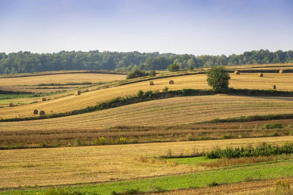 Zvlněné kopce v regionu Roztocze — Stock fotografie